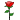 :rose: